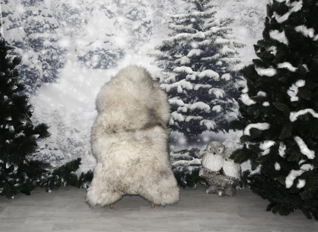 B-Ware Mufflon Anthrazit (öko)